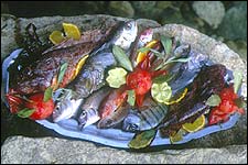 Korsika feriendorf Restaurant